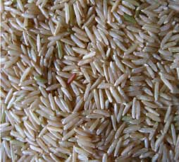 Pusa Basmati Brown Rice Manufacturer Supplier Wholesale Exporter Importer Buyer Trader Retailer in Nagpur Maharashtra India